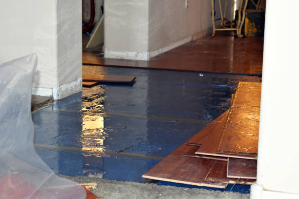 Professional Water Damage Restoration technician working in Layton, NJ